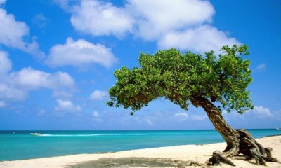 Aruba 2018!