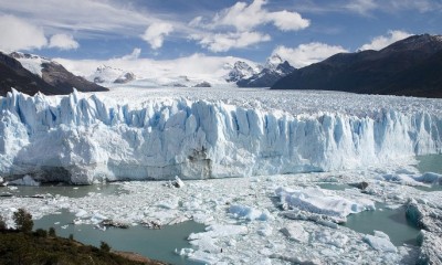 Viví Calafate!