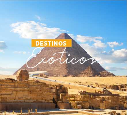Exóticos