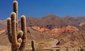 Descubrí la magia de Salta 