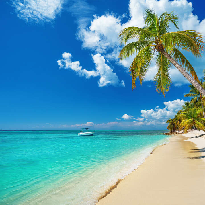 PROMO PUNTA CANA 