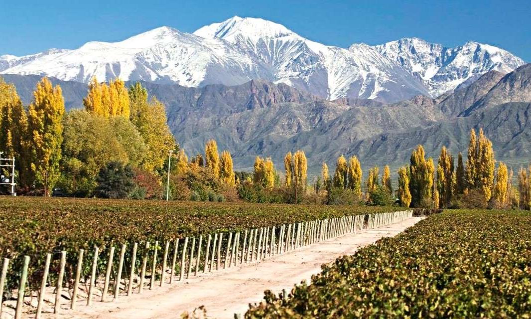 Mendoza! - Cyber Monday